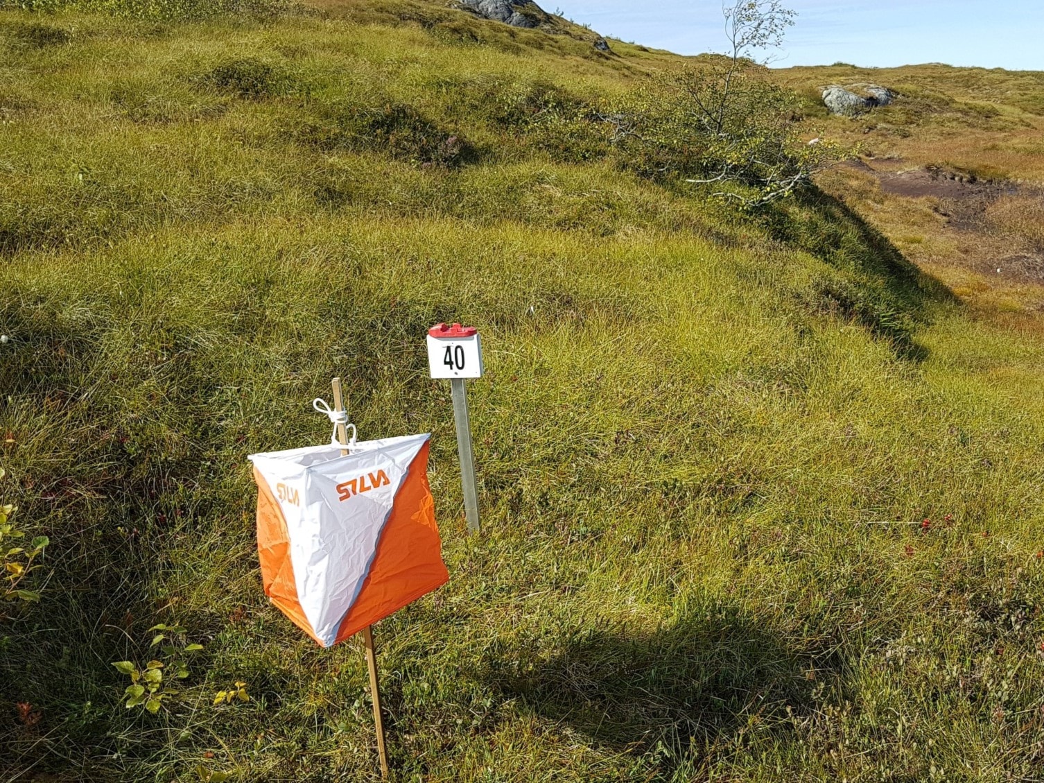 Nattløp og Haustbløyta